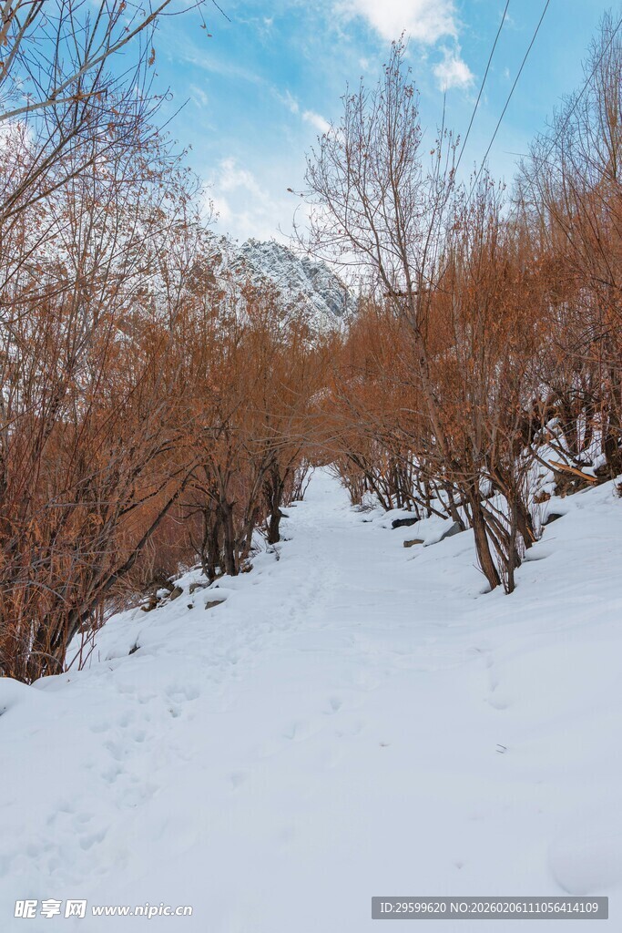 冬日雪覆山林美景