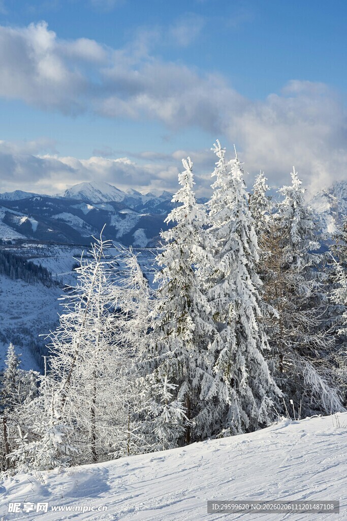 雪覆山林的冬日美景