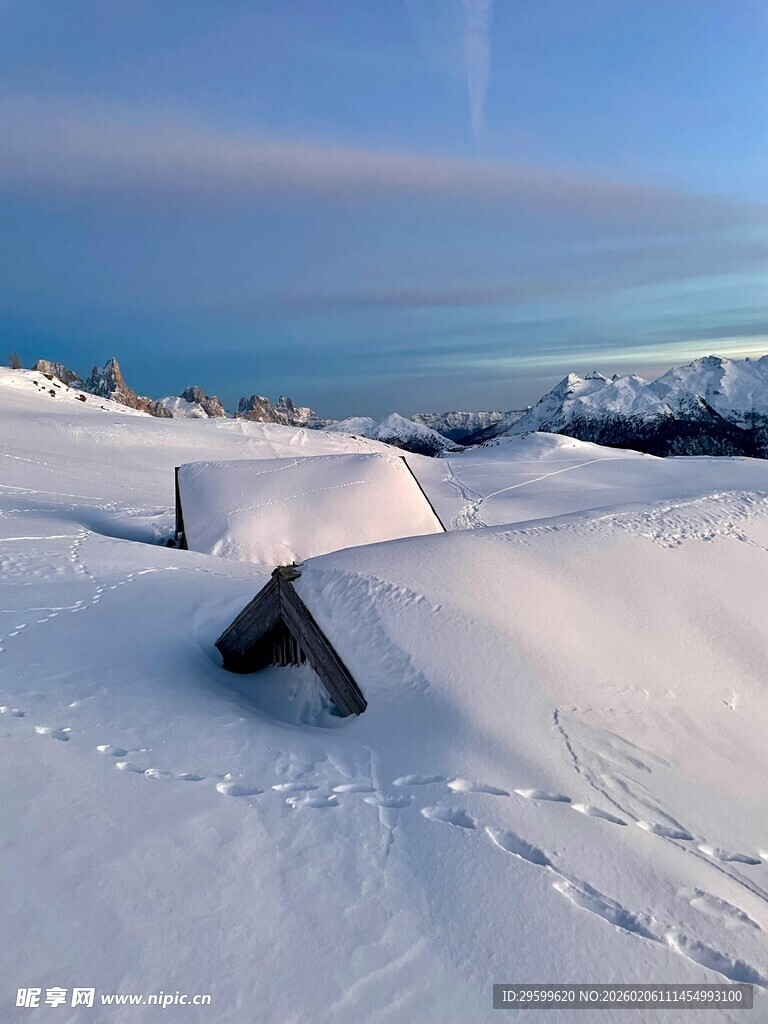 雪覆大地的静谧冬日景象