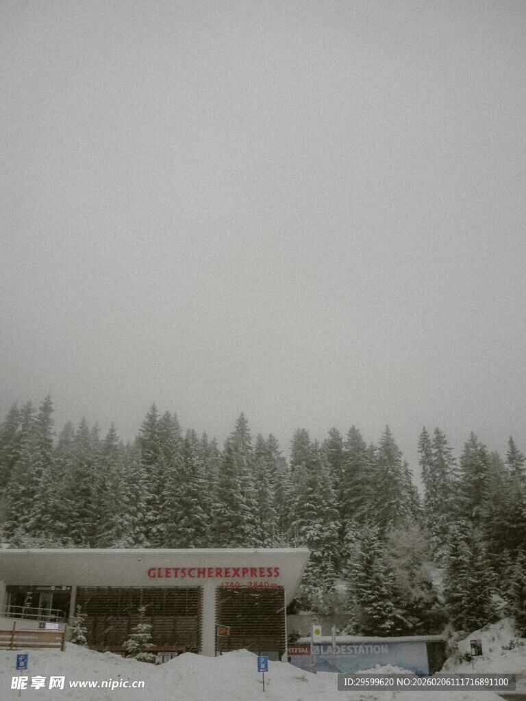 雪覆建筑与树木的冬日景象