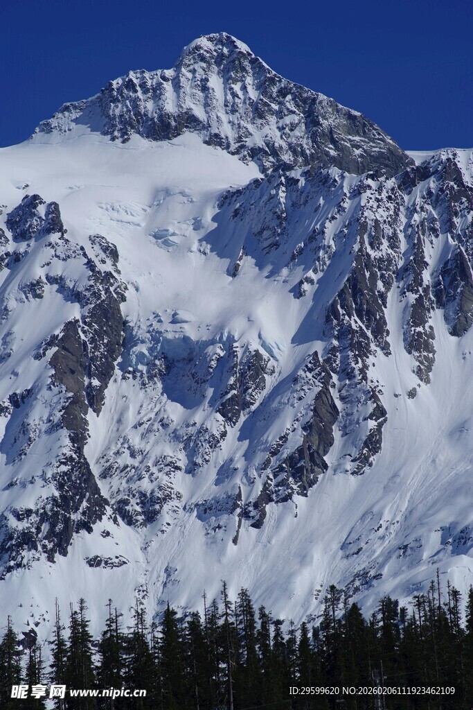 巍峨雪山与森林景观