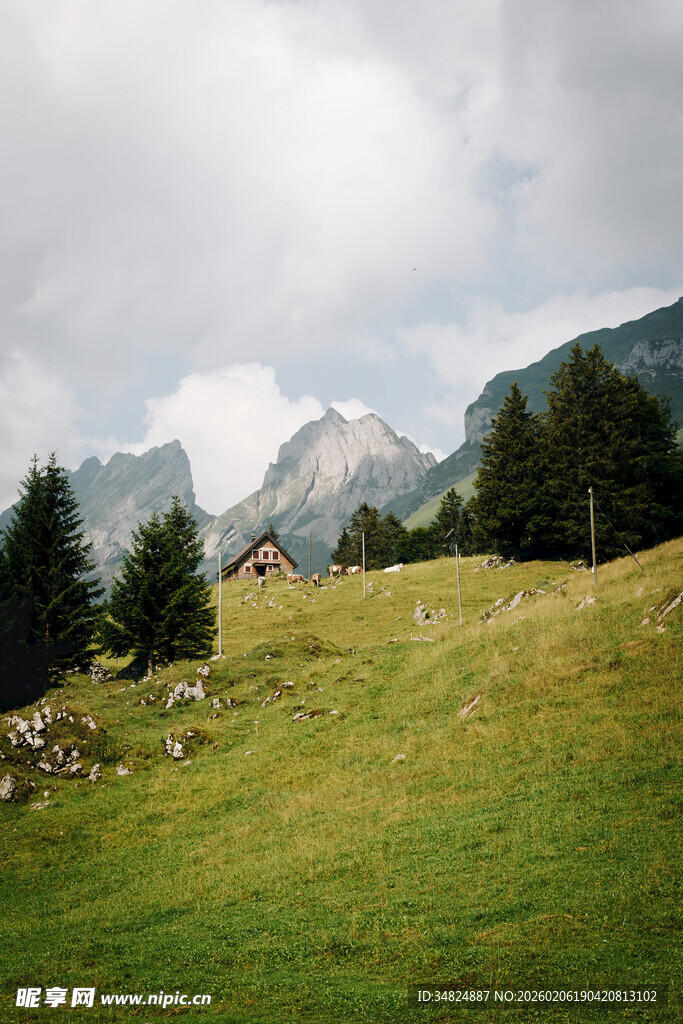 山间草甸上的小屋与羊群
