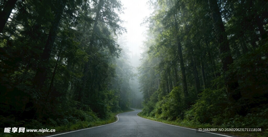 林间幽径晨光洒落