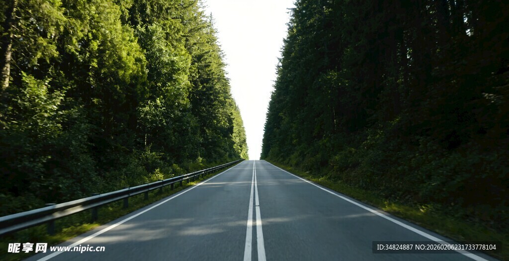 林间公路通向自然深处
