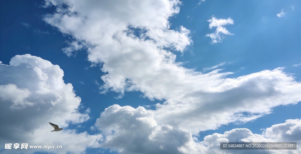 蓝天飞鸟与白云