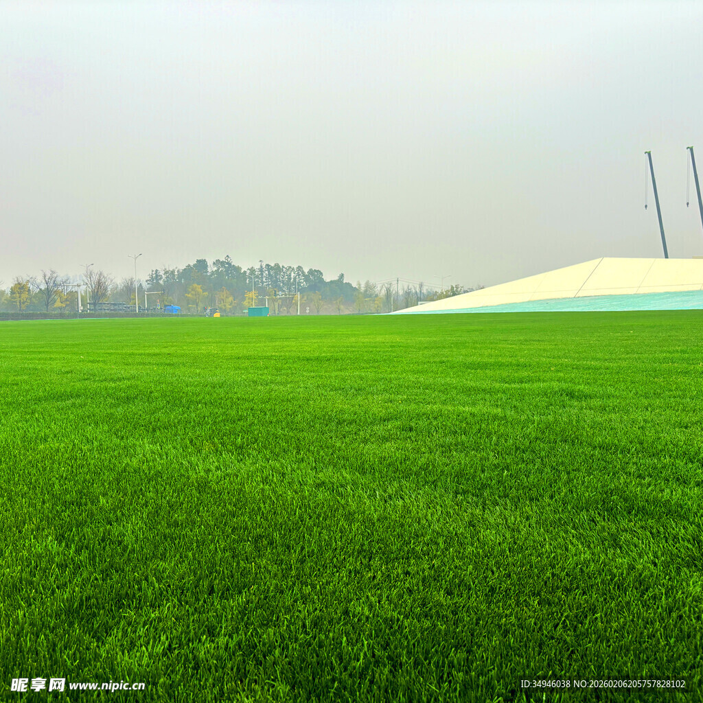 广袤翠绿的田野风光