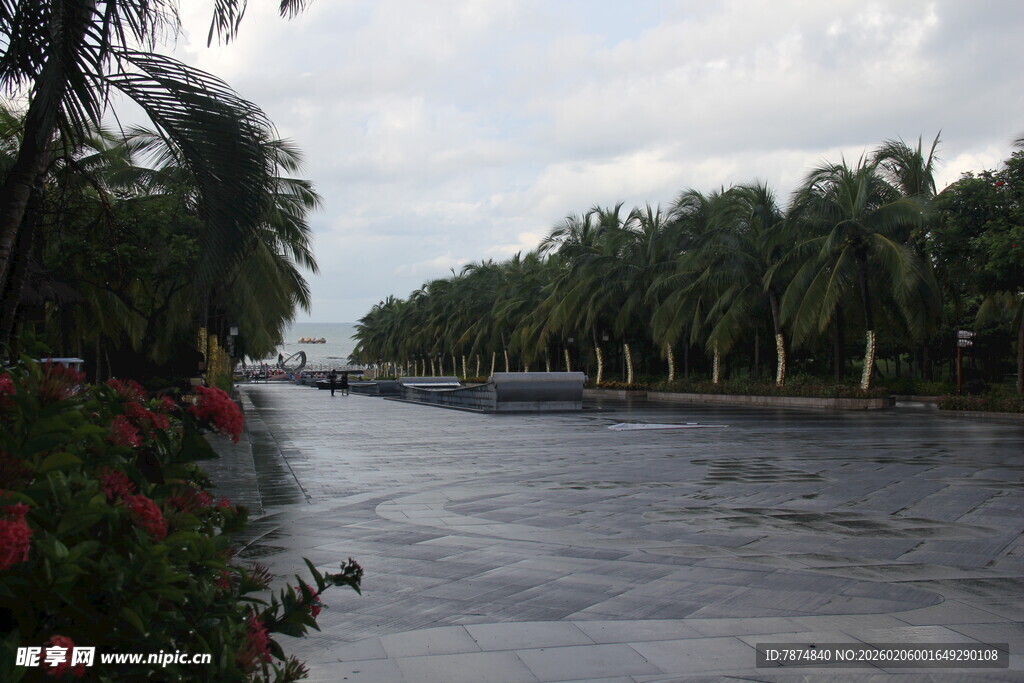 三亚雨中街道与葱郁树木