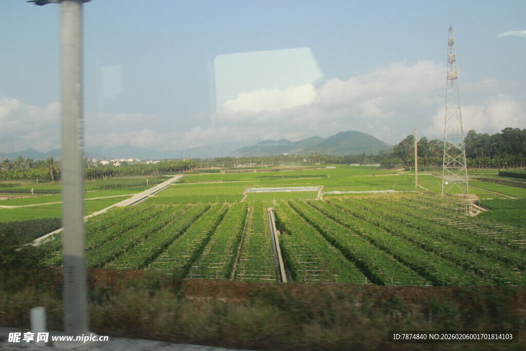 三亚田野风光 整齐农田景象