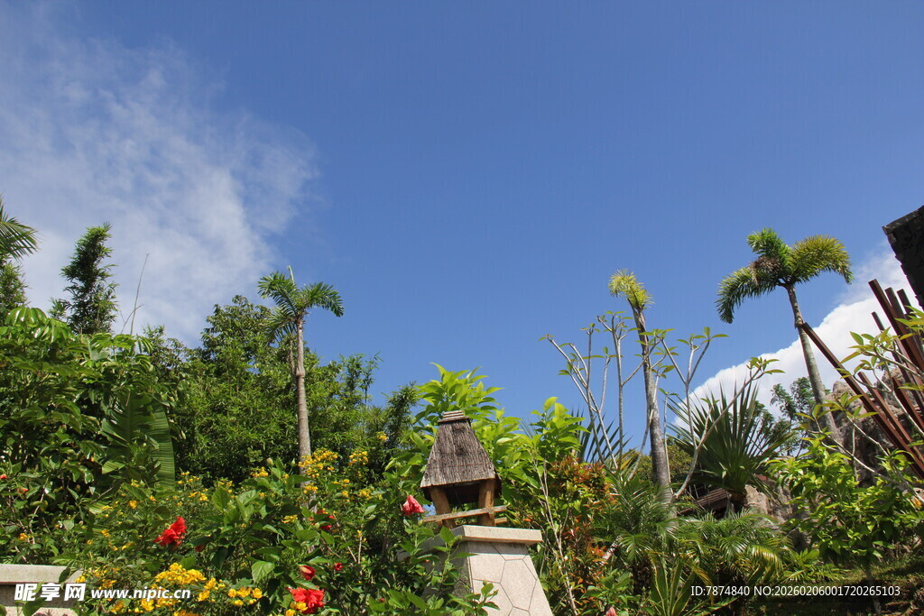 三亚热带花园景观 绿植繁茂