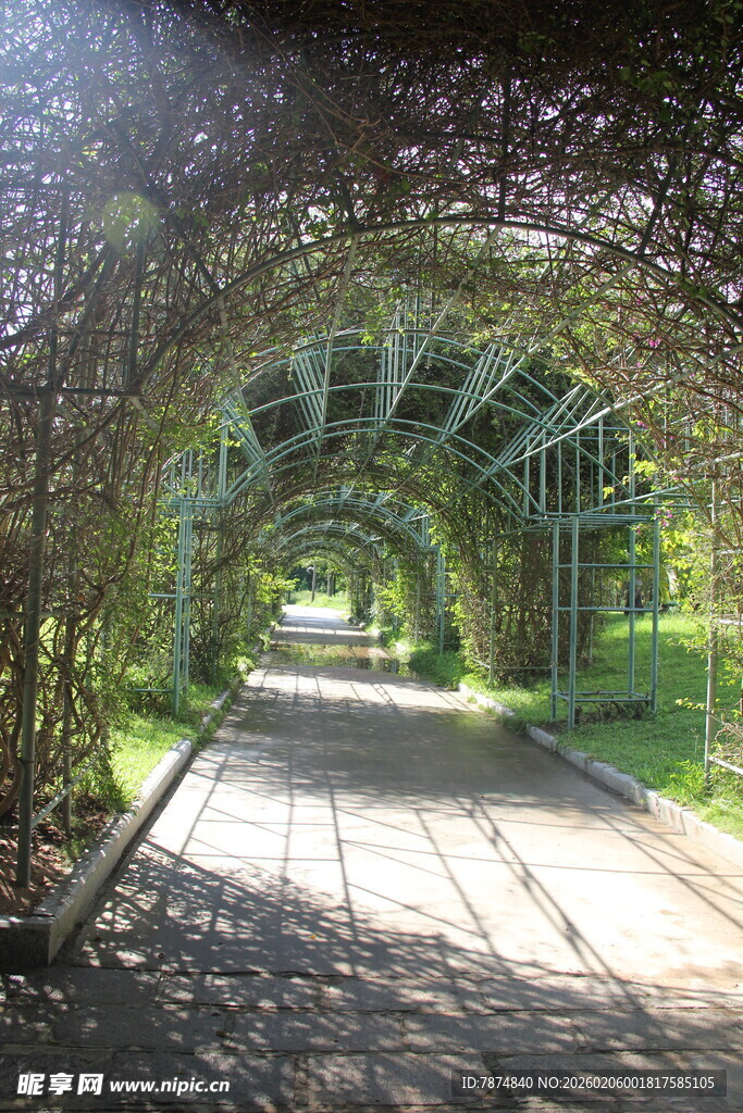 三亚绿荫环绕的幽静步道