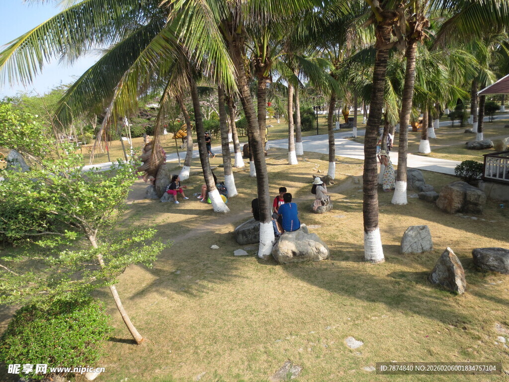 三亚椰树下的休闲户外场景