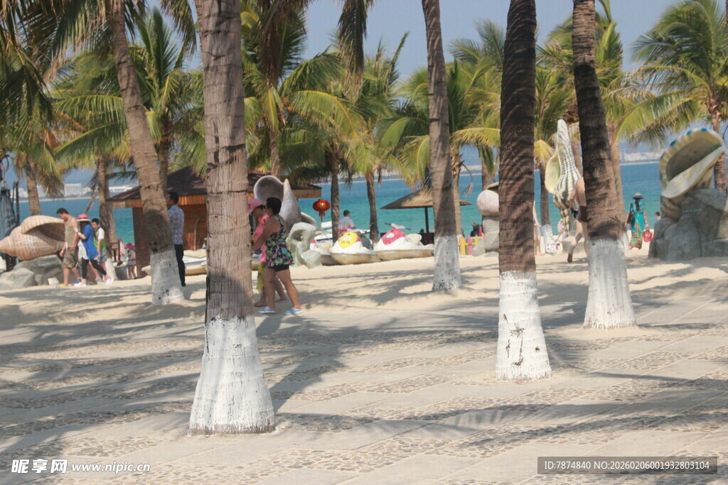 三亚热带沙滩上的椰子树景观