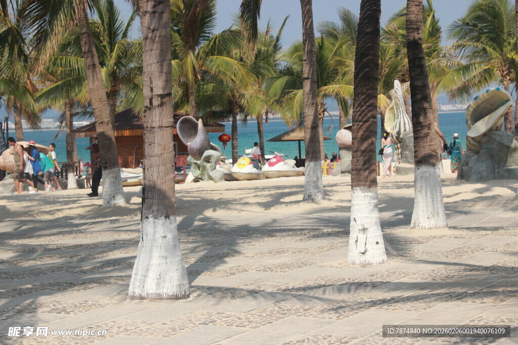 热带沙滩上的棕榈树景观