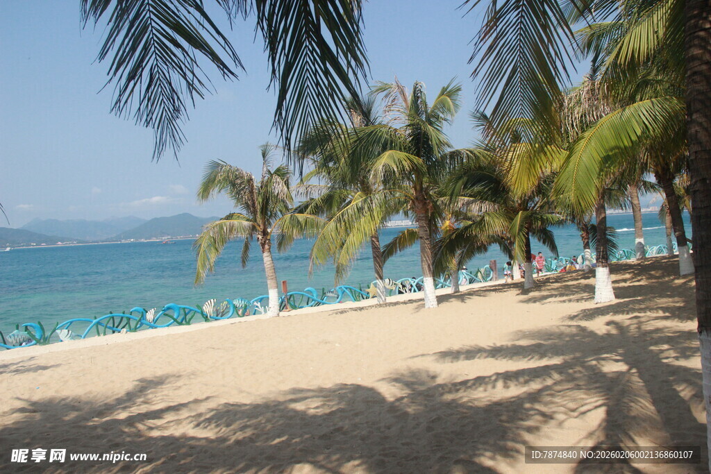 热带沙滩椰林海景风光