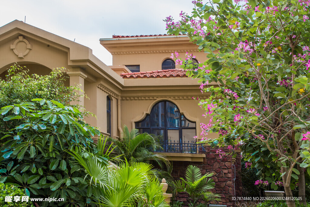 豪华别墅周边绿植环绕