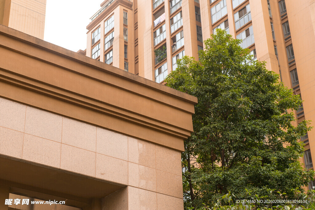 小区建筑旁的绿植景观