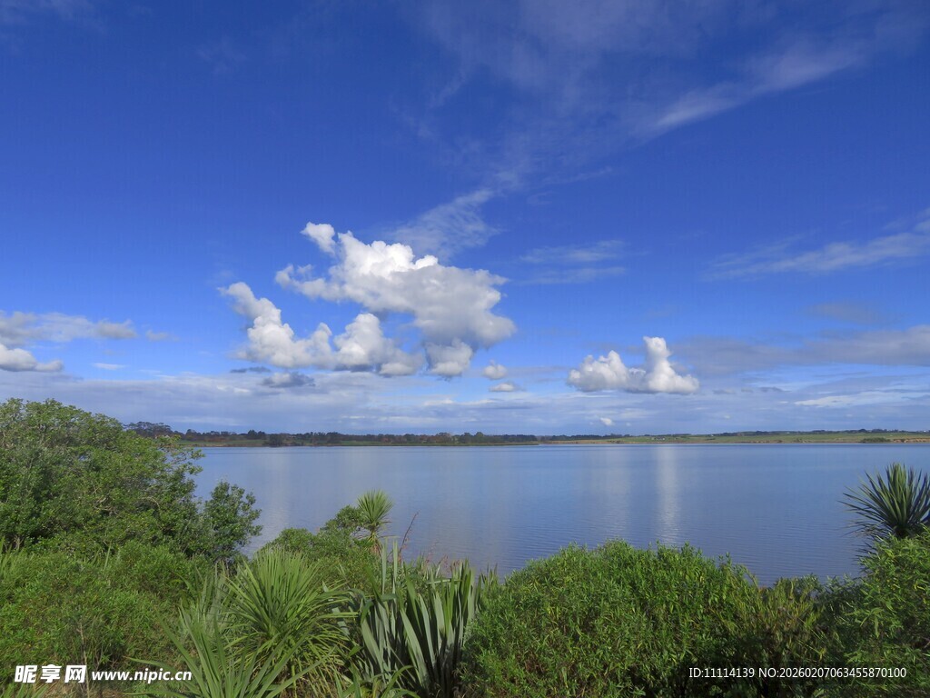 海滨蓝天绿树美景如画