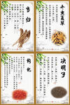 常见中药材展示