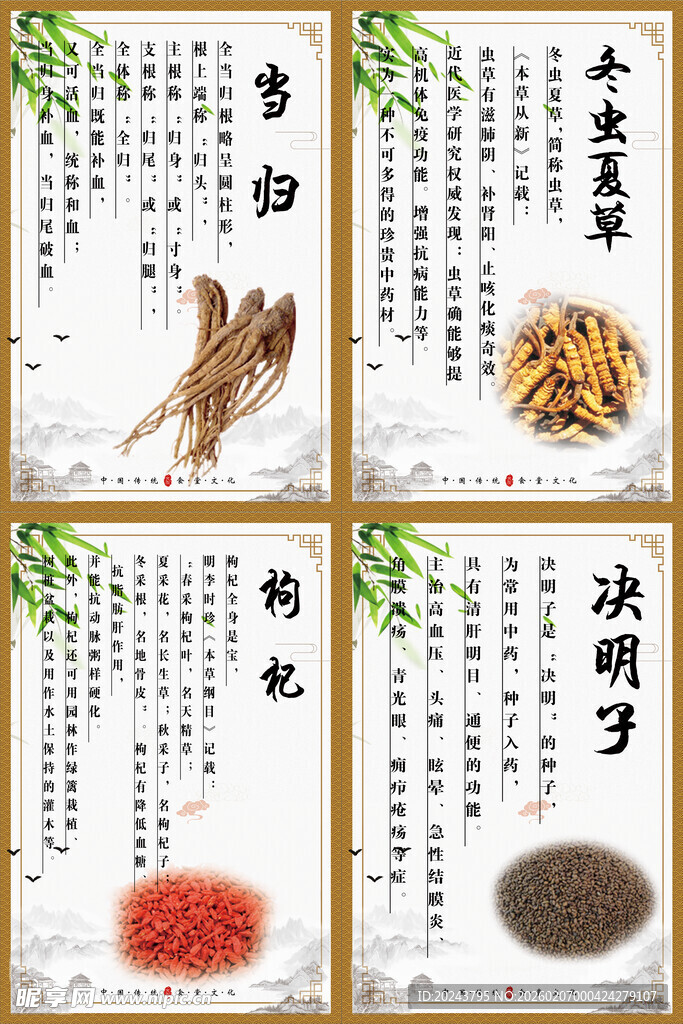 常见中药材展示