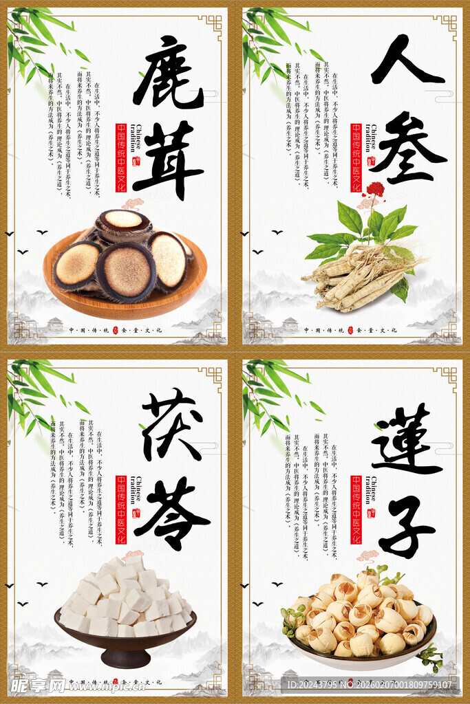 传统中药材展示