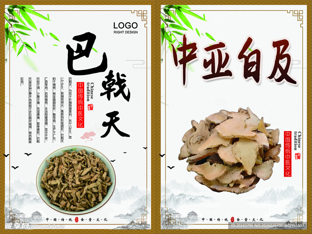 巴戟天与中亚白及药材展示