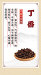 传统中药材丁香展示