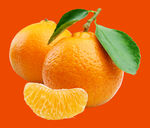 新鲜多汁的甜橘子