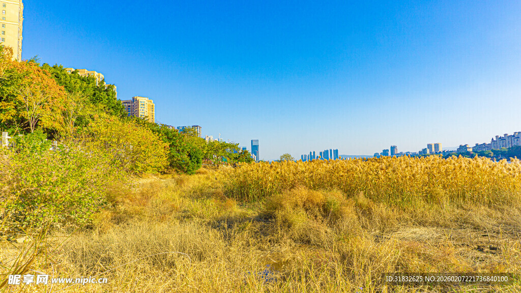 旷野风光 蓝天草木相映