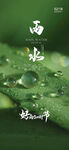 雨水24节气