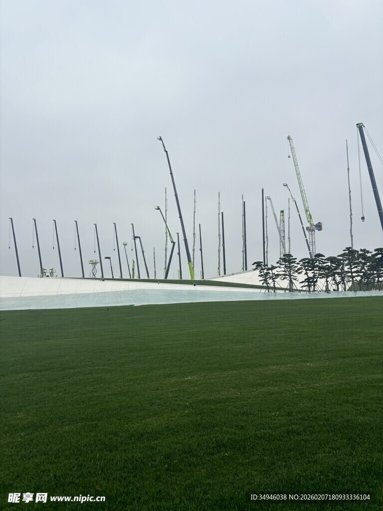 海滨草地与林立的帆船桅杆