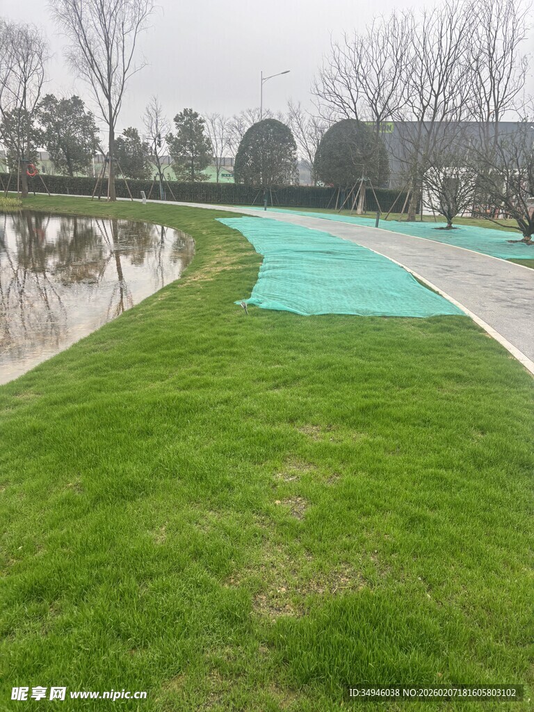 户外翠绿草坪与水景景观