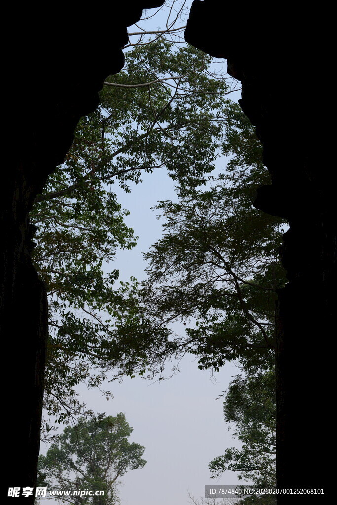 透过门洞望繁茂枝叶