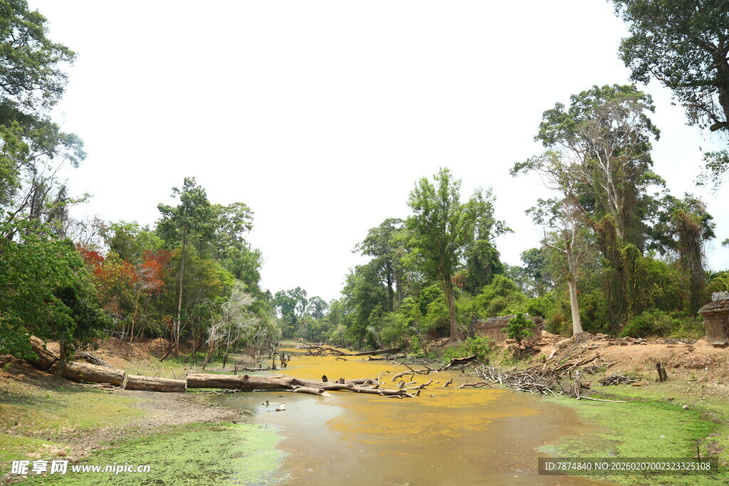 林间溪流自然风光图