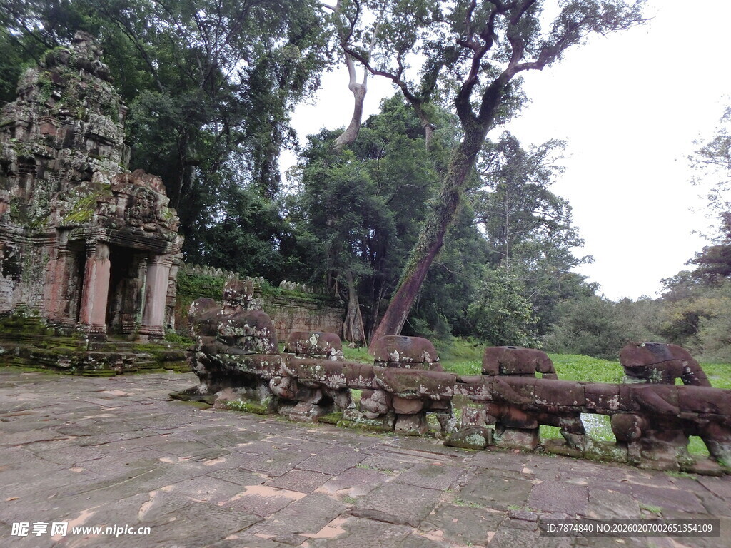 古老庭院中的自然景致