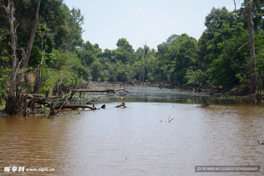 宁静河畔的自然景致
