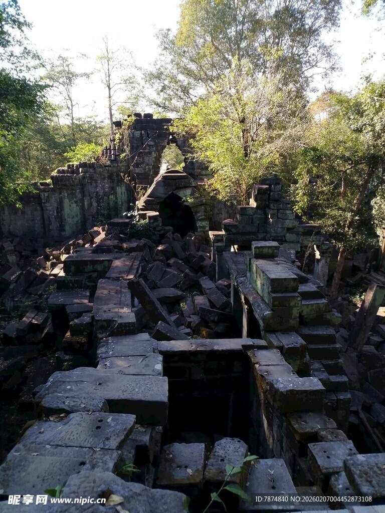古老废墟隐于茂密树林中