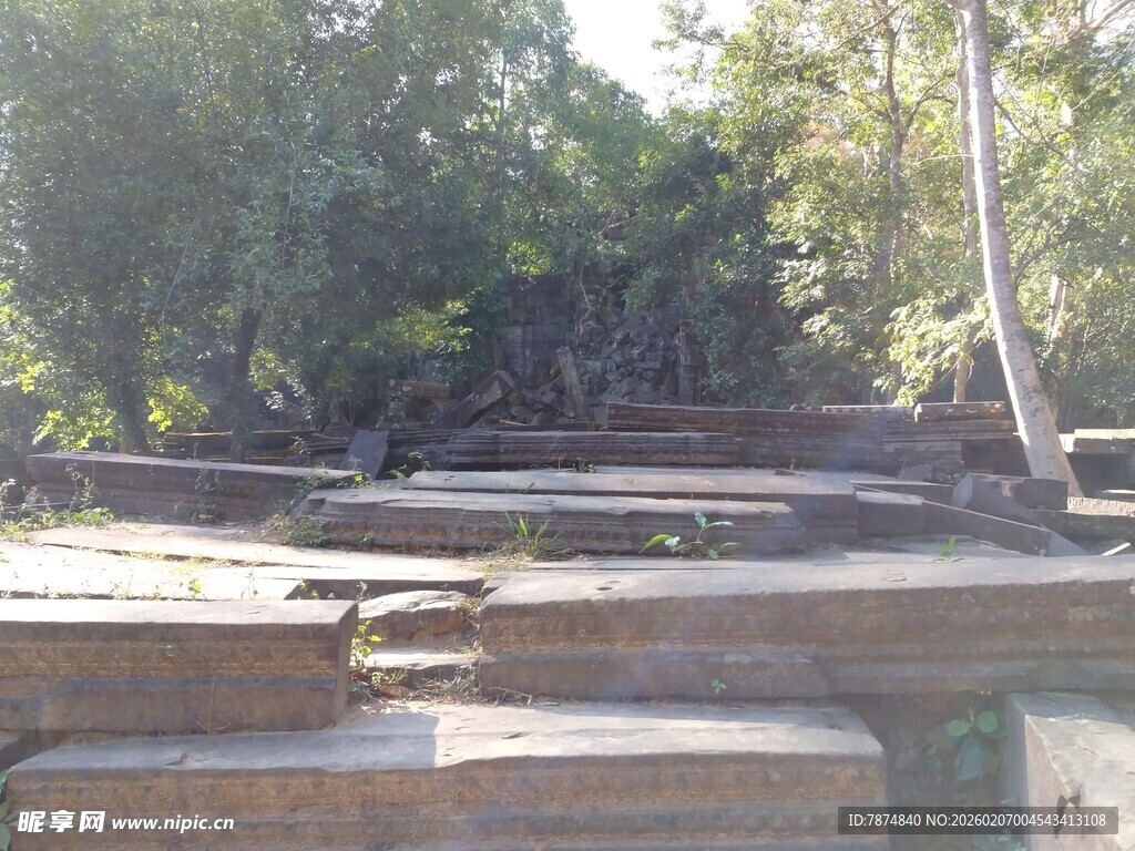 柬埔寨古老石阶与繁茂树林景观