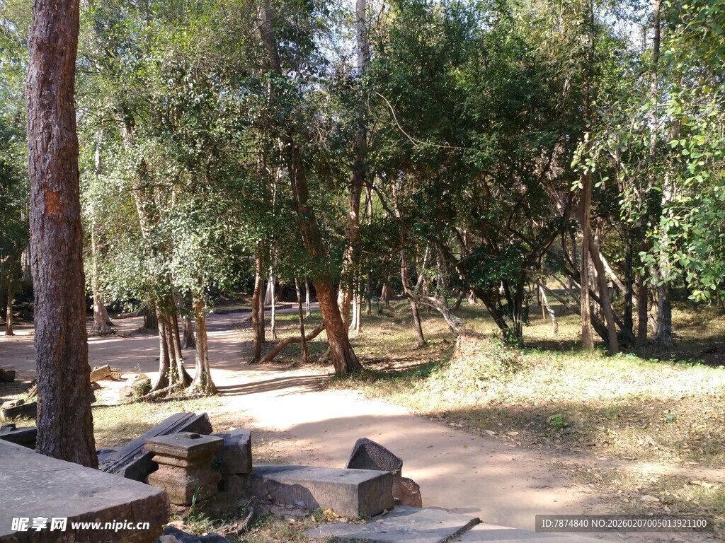 柬埔寨林间休闲场景