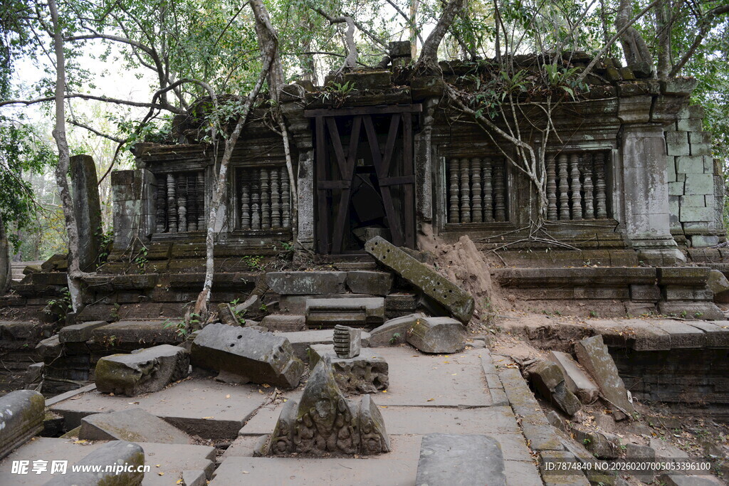 柬埔寨古老寺庙被树根缠绕遗迹