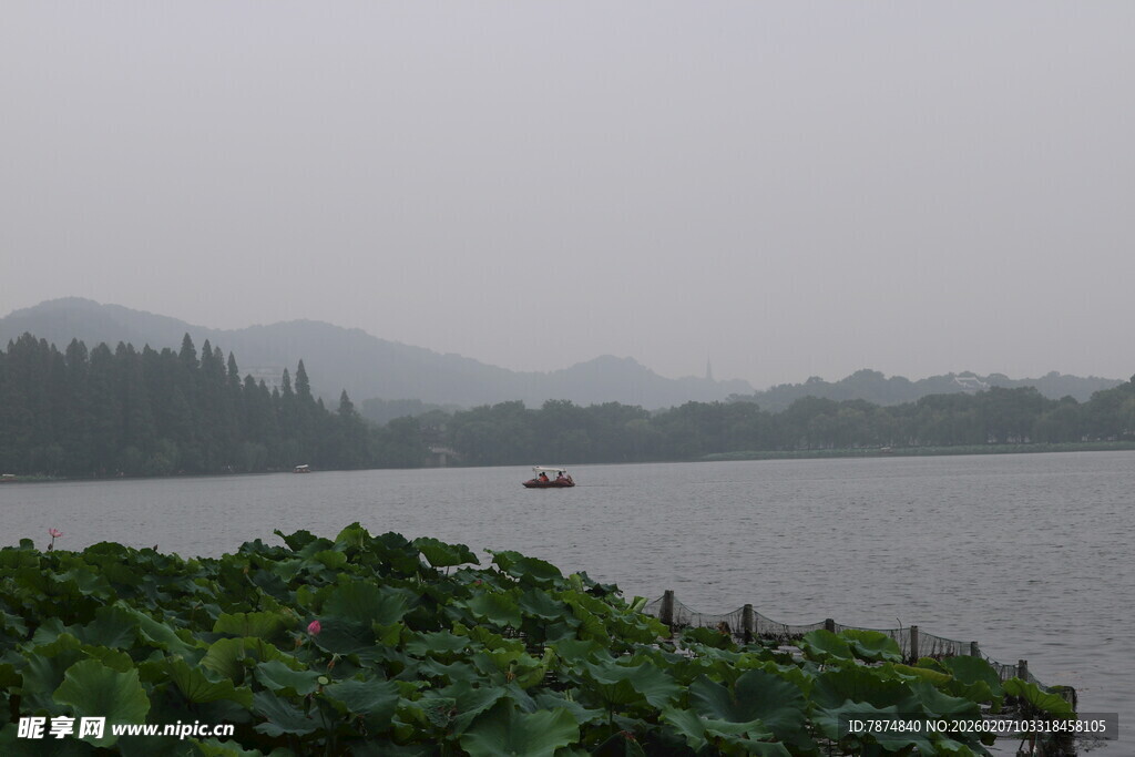 雾中湖畔景致