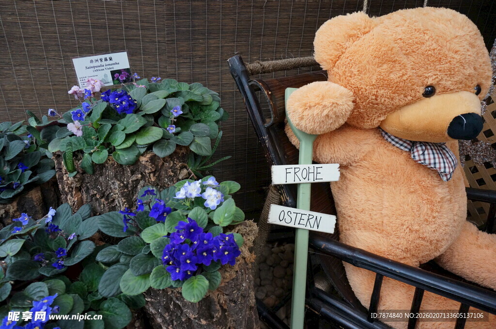 泰迪熊与花丛中的标牌