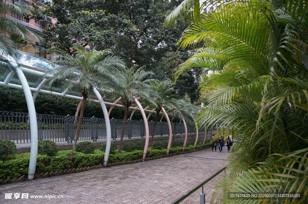 温室中的绿植景观通道