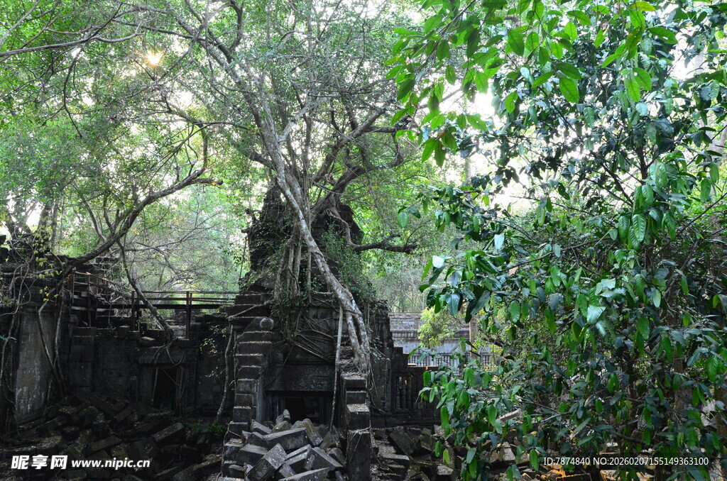 丛林中的古老神秘遗迹