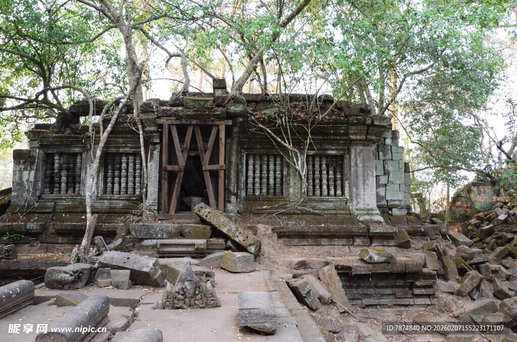 古老废墟被树木缠绕