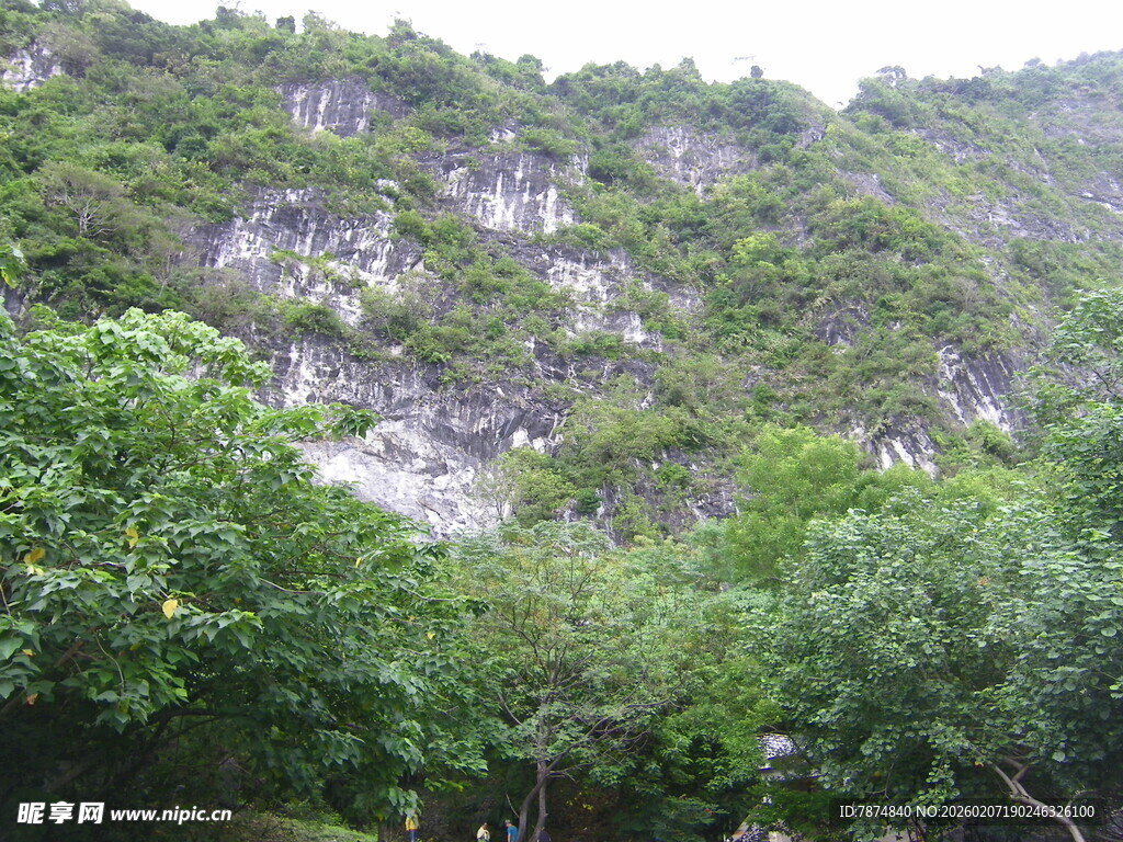 山林间的峭壁绿意景观