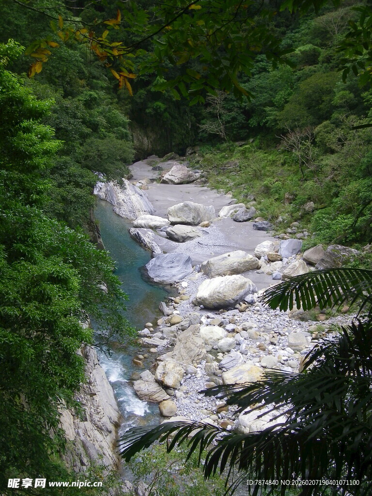 山间溪流穿林而过