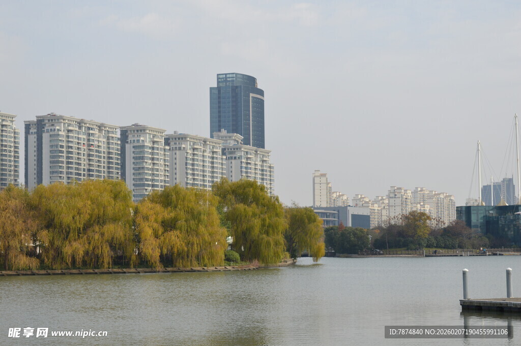 湖畔城市风光