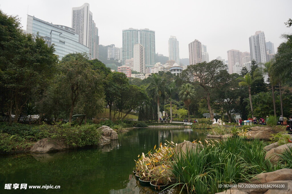城市中静谧的河畔园林景观