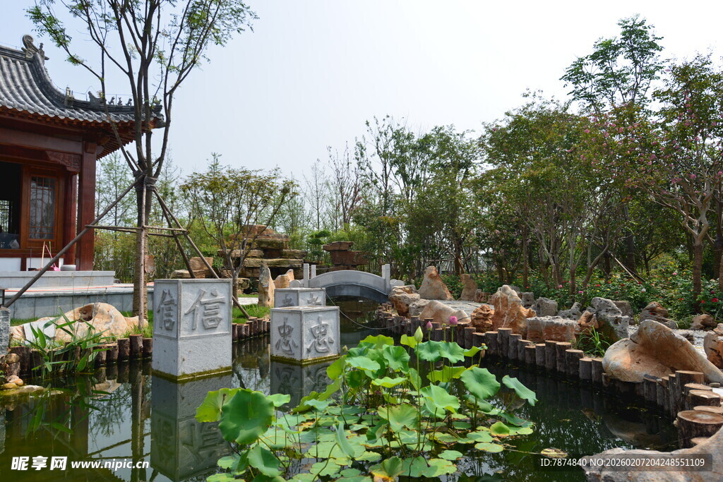 中式园林池塘与亭台景致