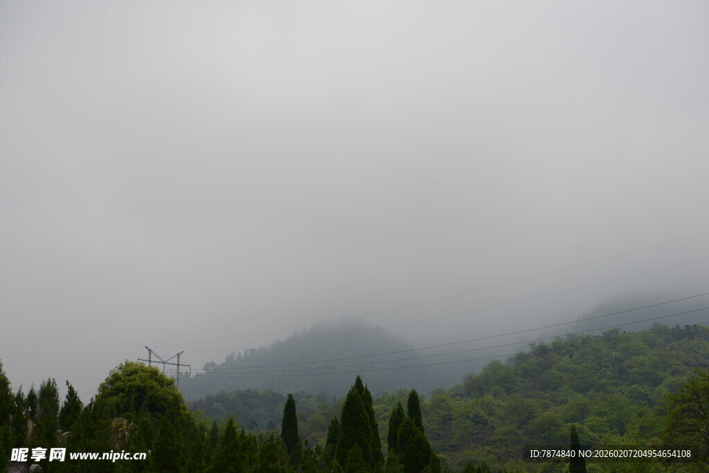 云雾缭绕的山林景色